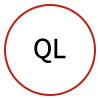 quantitative literacy icon